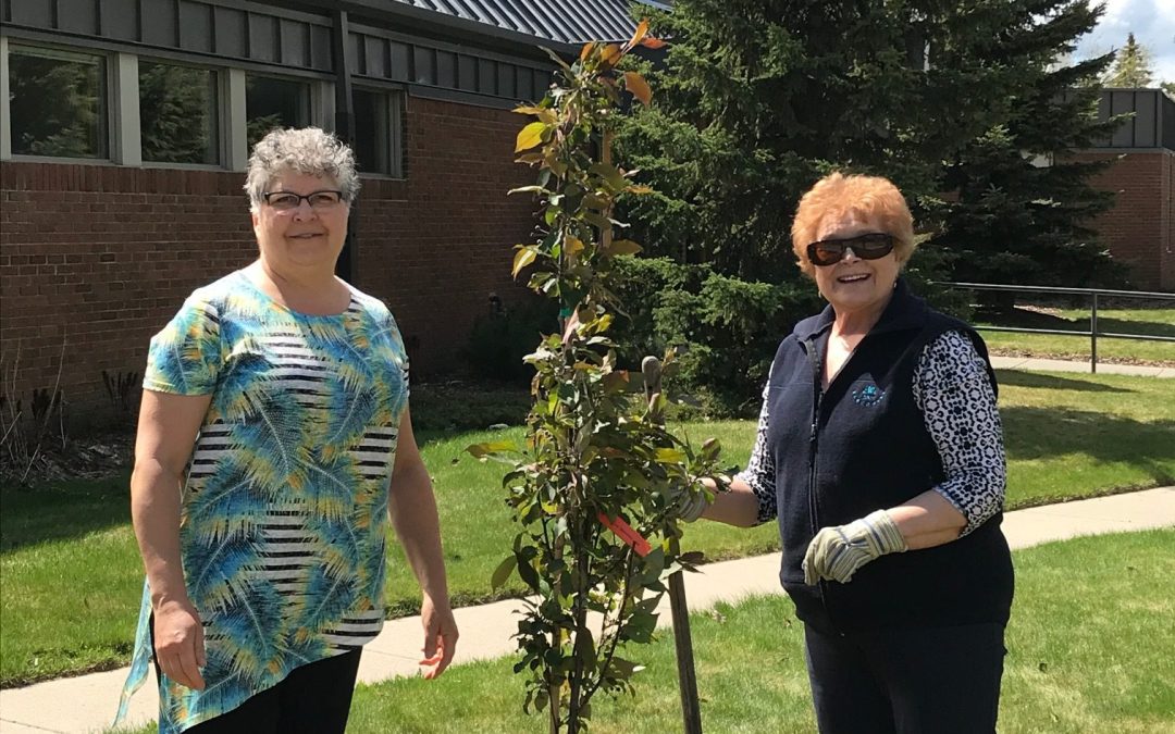 St. Anne Parish Council, Saskatoon