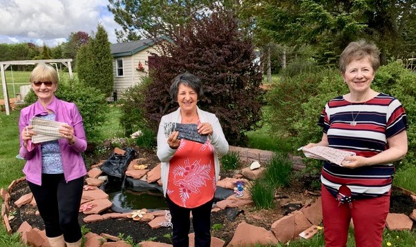 Prince Edward Island Provincial Council