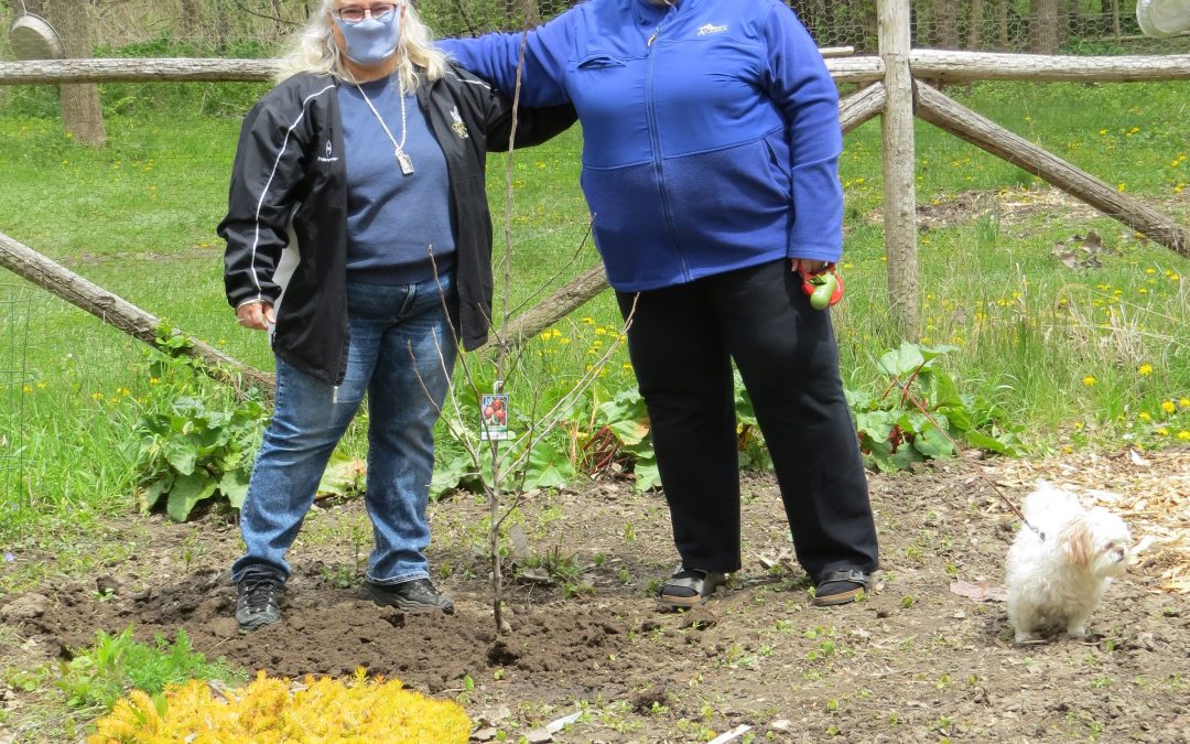 St. Mary Parish Council, Tillsonburg