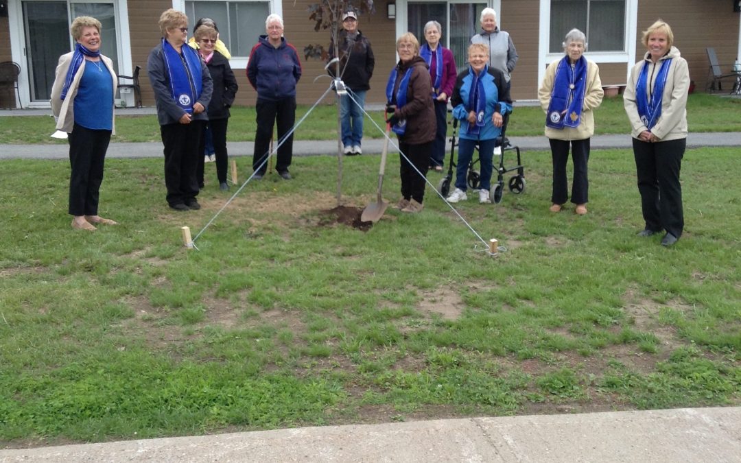 Immaculate Conception Parish Council, Bryson