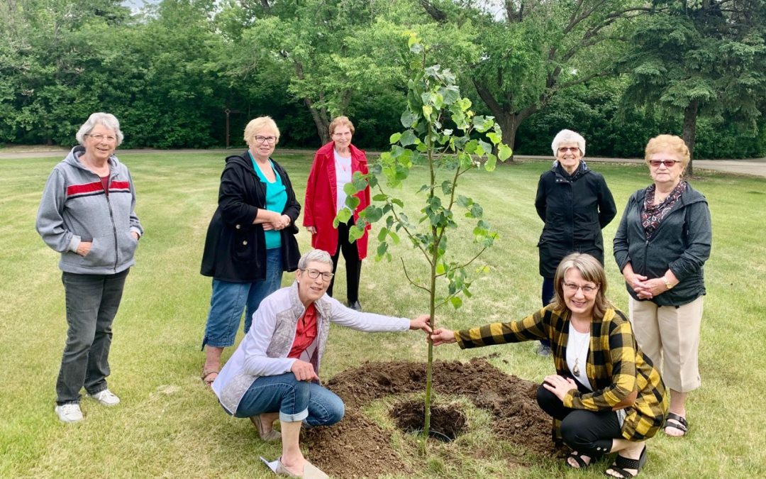 St. Mary Parish Council, Macklin