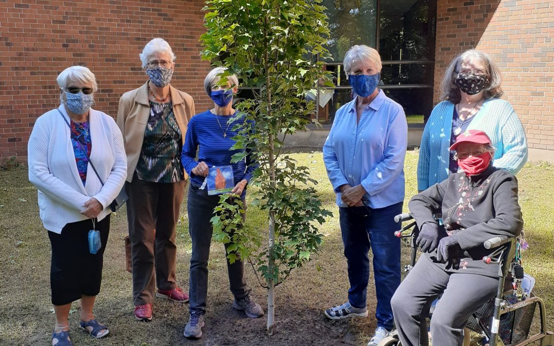 St. Mary Parish Council, Barrie