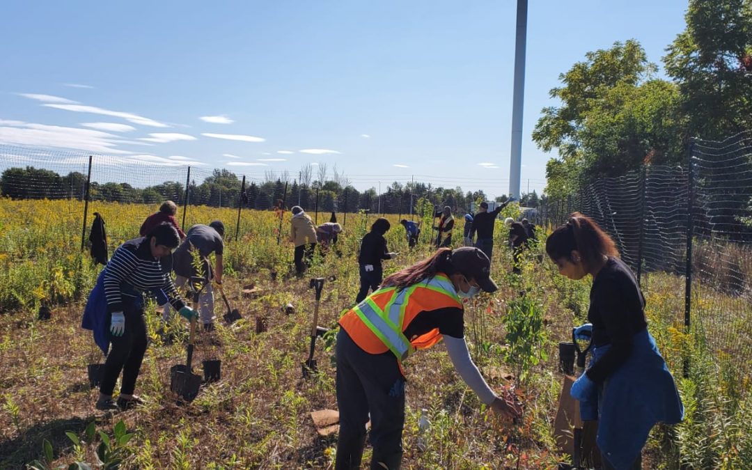 Toronto Diocesan Council