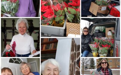 St. Mary Parish Council, Lindsay