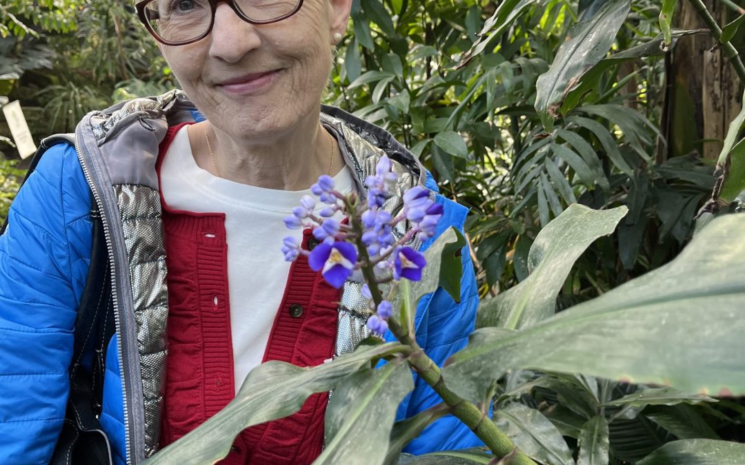 President’s Outings – January 2023