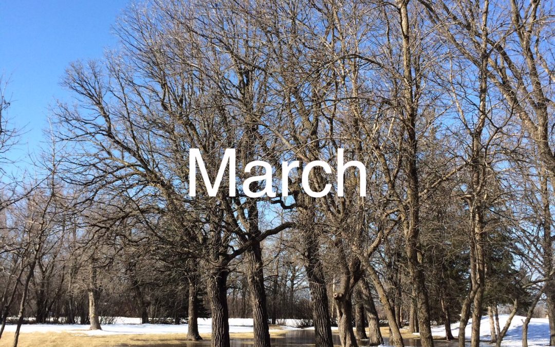 March message from National President, Margaret Ann Jacobs