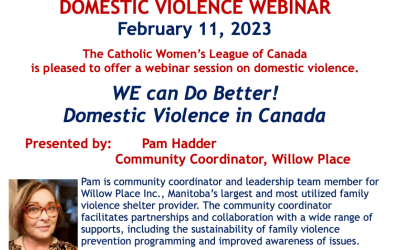 Domestic Violence Webinar is Now Online