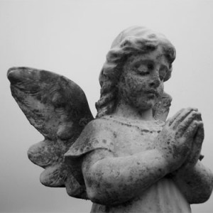 Message from National President Fran Lucas regarding Türkiye and Syria