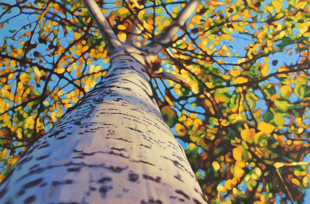 WUCWO’s Annual Intention – 2019