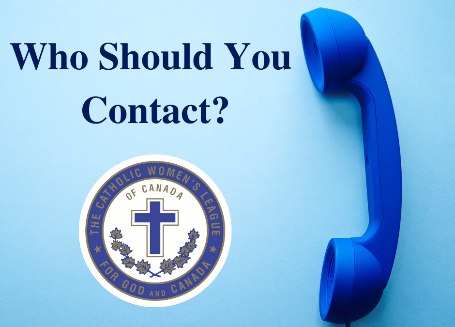 Who Should You Contact?