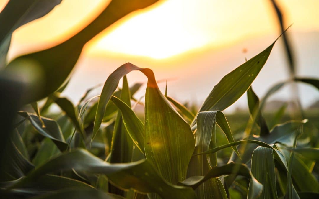 National Day for Truth and Reconciliation