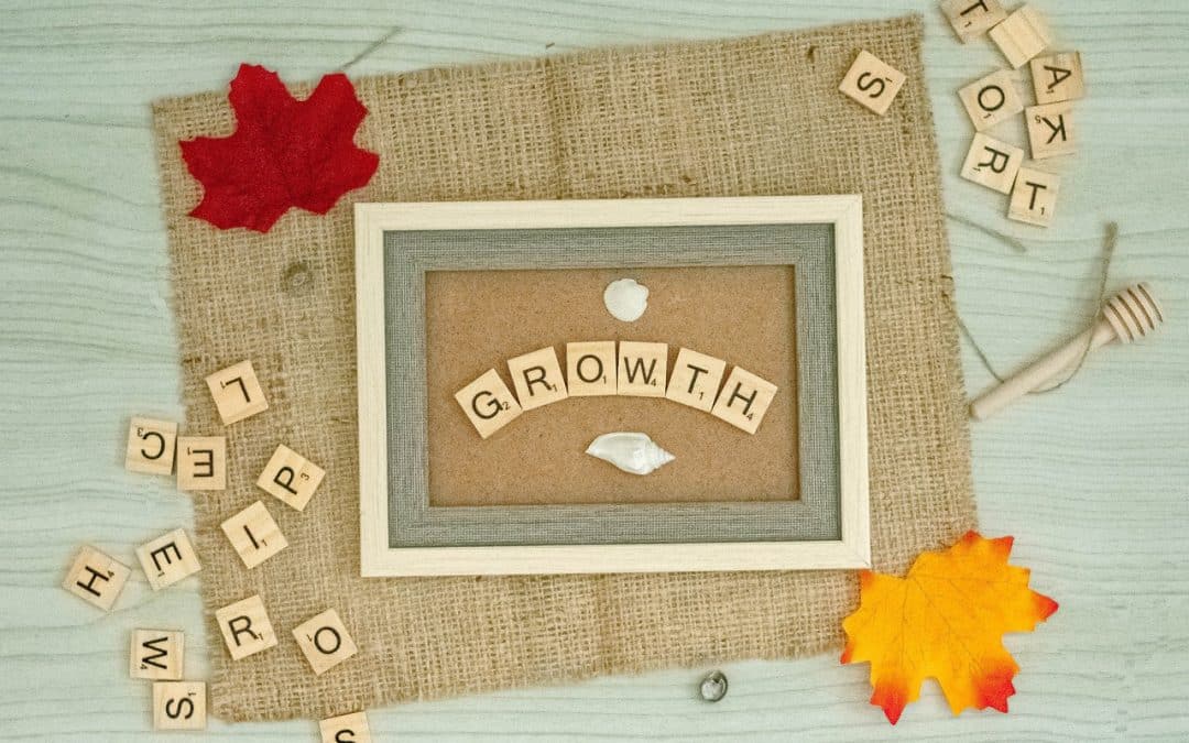 Implementation Committee Update – October 2022