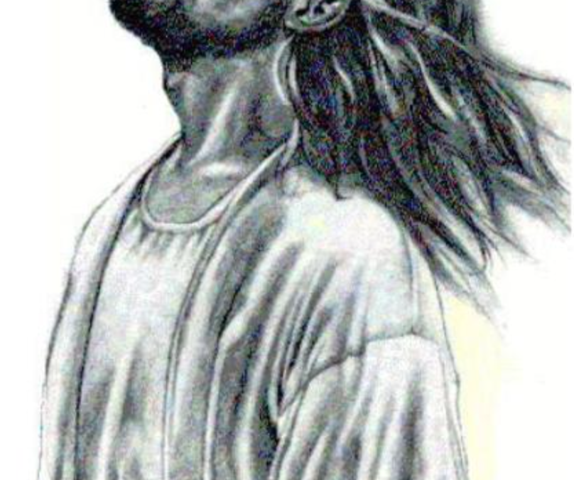 Implementation Committee Update—May 2023