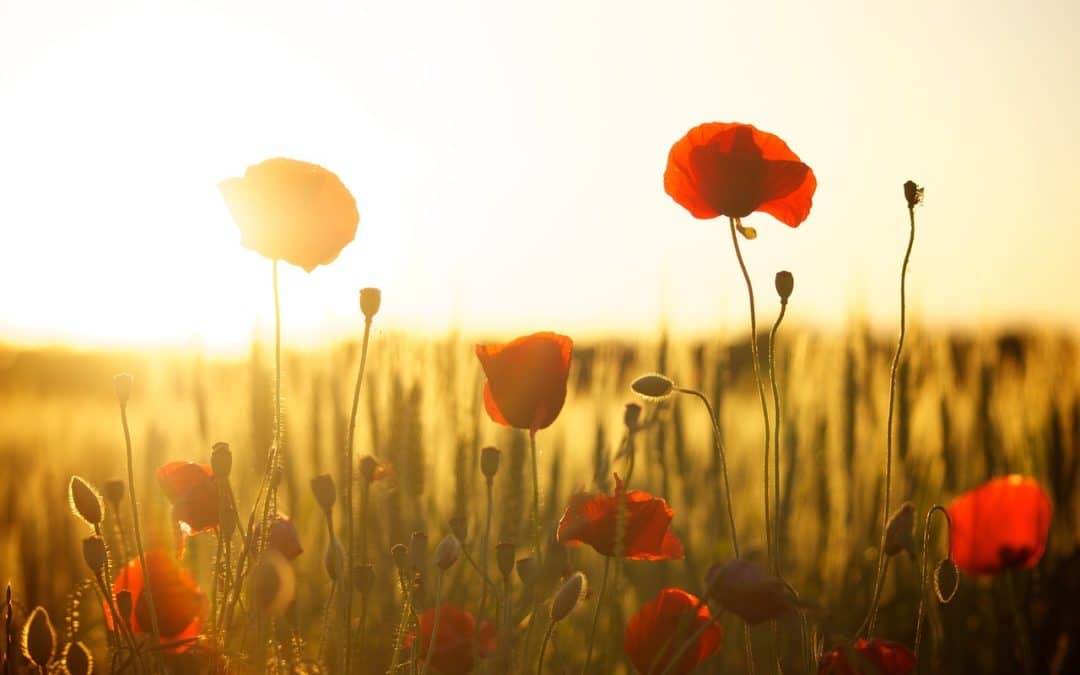 Communiqué #01 – Secretary-Treasurer