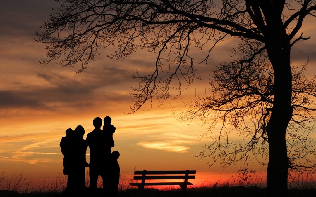 Communiqué #04 – Service