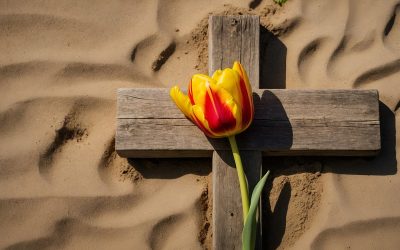 Communiqué #06 – Past Presidents