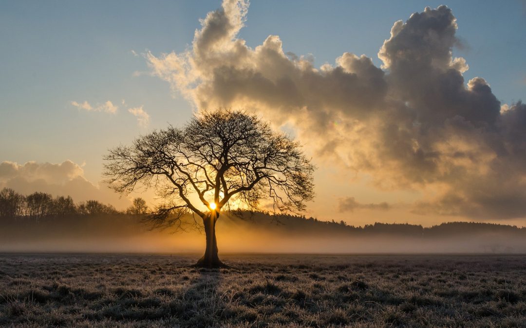 Communiqué #06 – Service