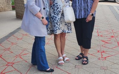 Mary, Mother of the Church Parish Council (Winnipeg)