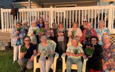 St. Joseph’s Parish Council (North Sydney)