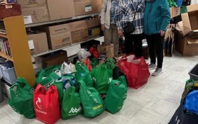 St. Thomas of Villa Nova Parish Council (Conception Bay South)