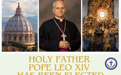 Statement from National President Shari Guinta on the election of the Holy Father Pope Leo XIV!