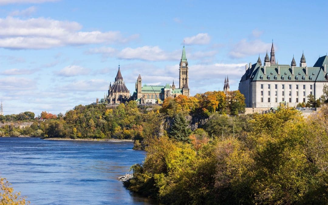 Communiqué #13 – Social Justice