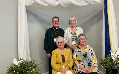 New Brunswick Provincial Council