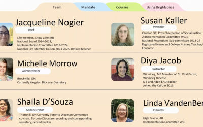 D2L Brightspace Webinar