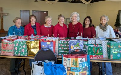 Holy Spirit Parish Council (Barrie)