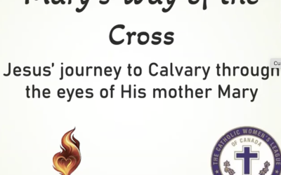 Mary’s Way of the Cross 2026 Webinar