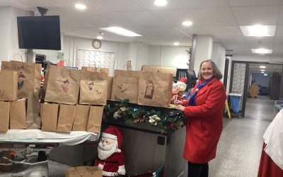 Our Lady of Sorrows Parish Council (Petawawa)